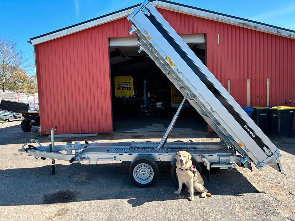 Brenderup Three-Sided Tipping Trailer 3t with Ramps and Supports TT5325ATB3000