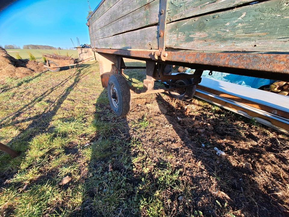 Horse trailer, 1.5 ton, four-leaf spring suspension
